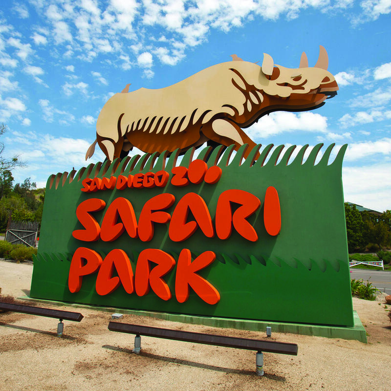 San Diego Zoo Safari Park Tips for Visiting With Your Family
